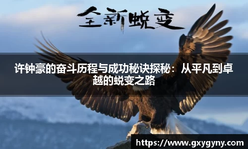 YY体育